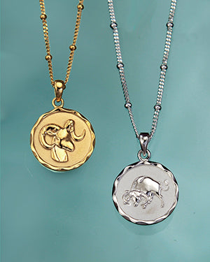 Zodiac Necklaces