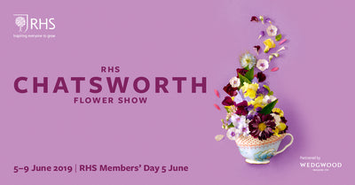 2019 RHS CHATSWORTH FLOWER SHOW