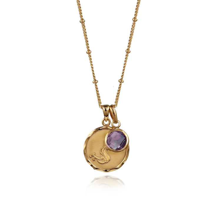Gold Aquarius necklace with amethyst February birthstone on a white background