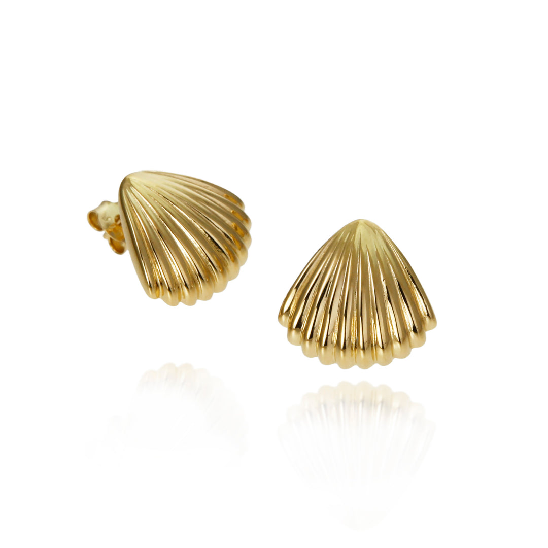 Gold shell-shaped earrings on a white background