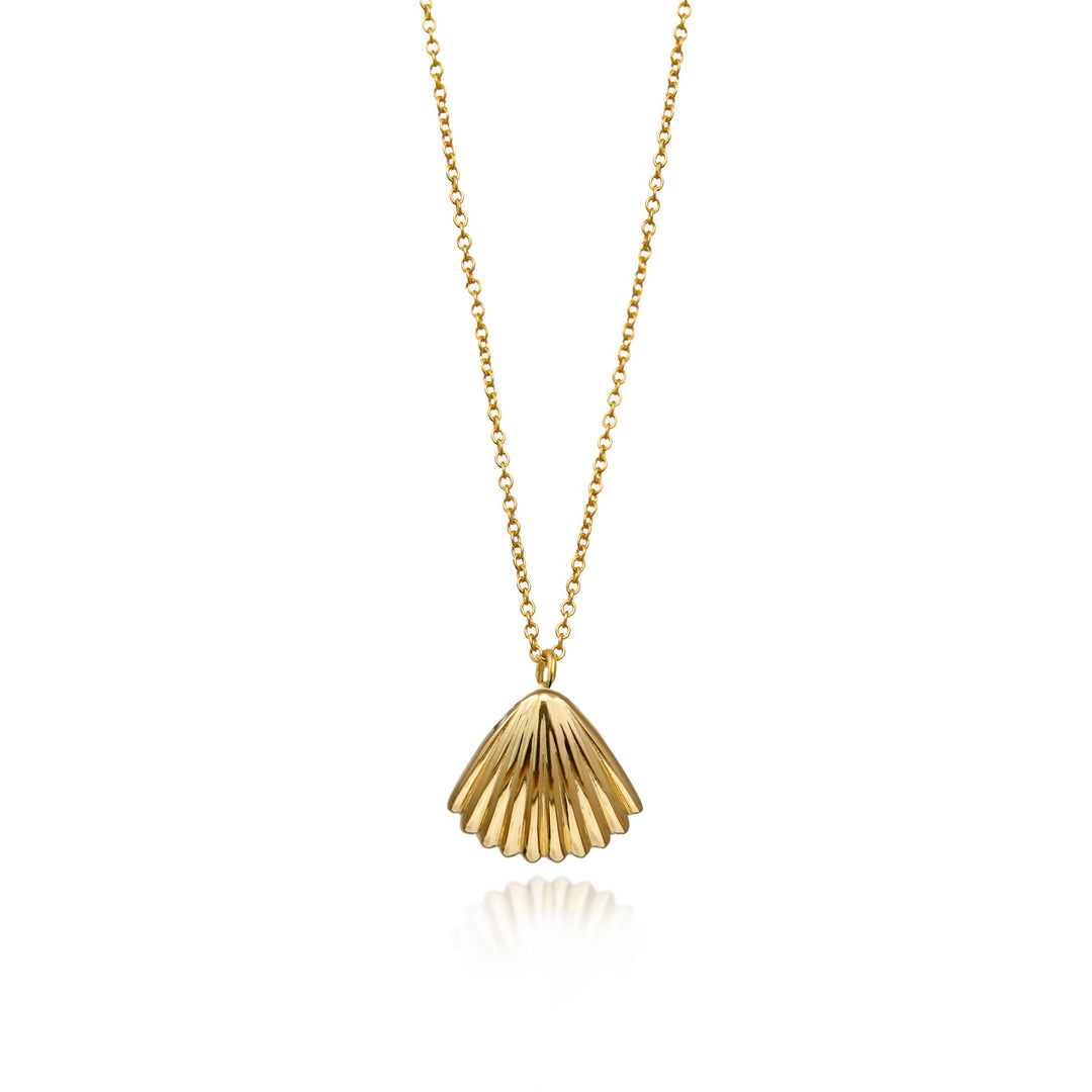 Gold seashell necklace with a clam pendant on a white background