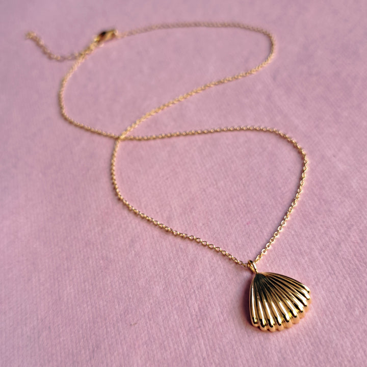 Gold vermeil seashell clam pendant necklace on a pink background