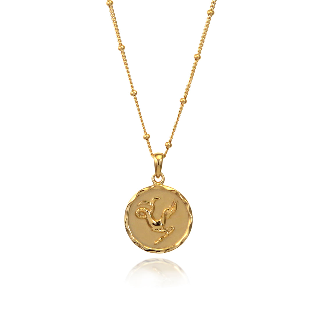 18ct gold vermeil Capricorn zodiac star sign pendant necklace