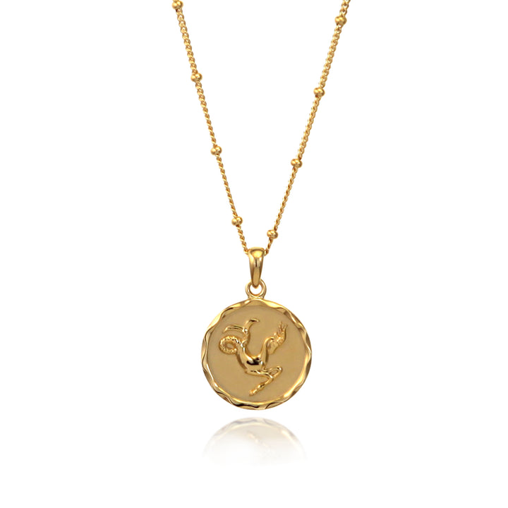 18ct gold vermeil Capricorn zodiac star sign pendant necklace
