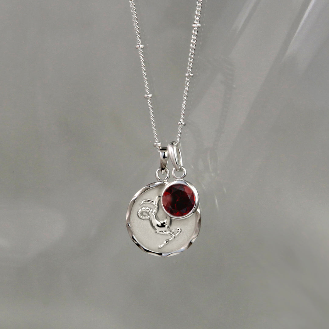 Silver capricorn zodiac necklace with a garnet january birthstone charm