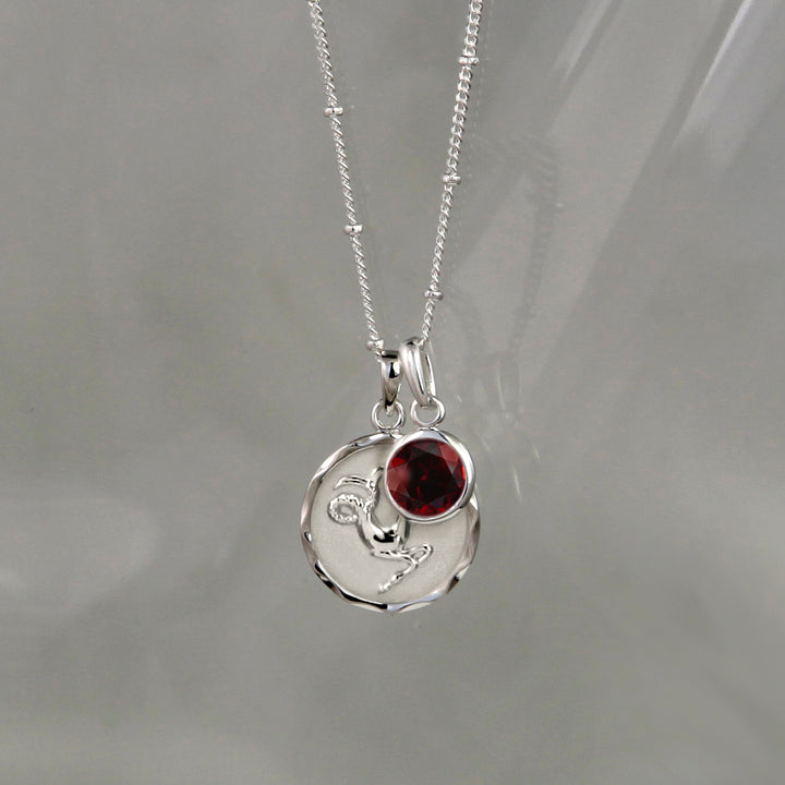 Silver capricorn zodiac necklace with a garnet january birthstone charm