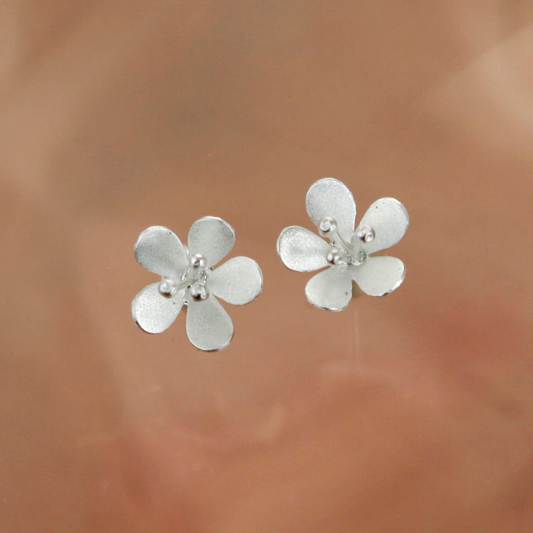 Silver daisy flower-shaped post earrings on a brown background