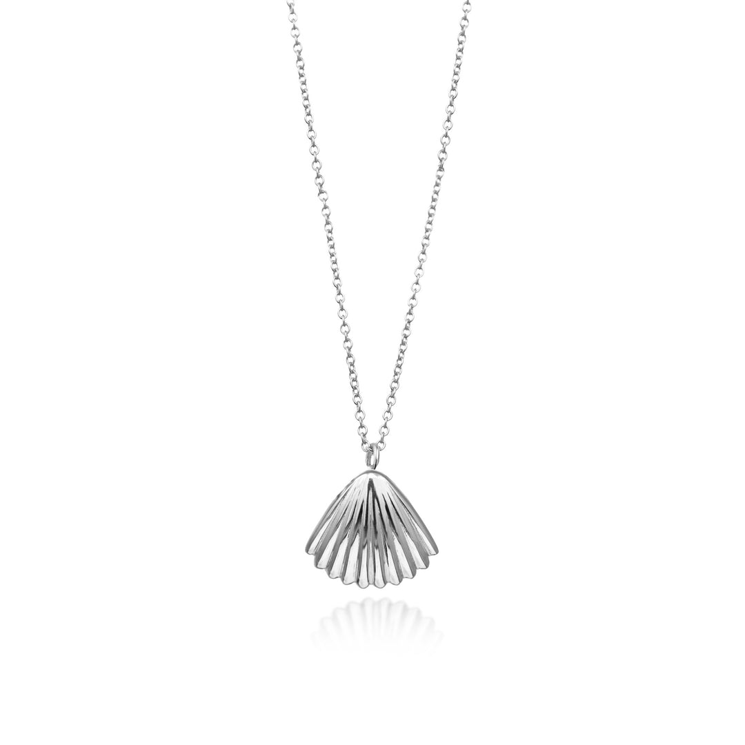 Silver necklace with a clamshell pendant on a white background