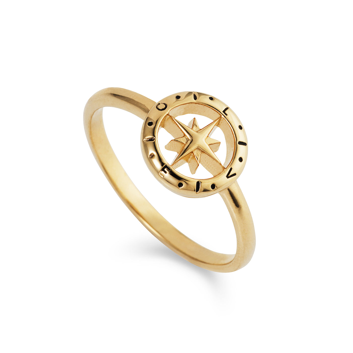Photo of Love's Compass Gold Ring
